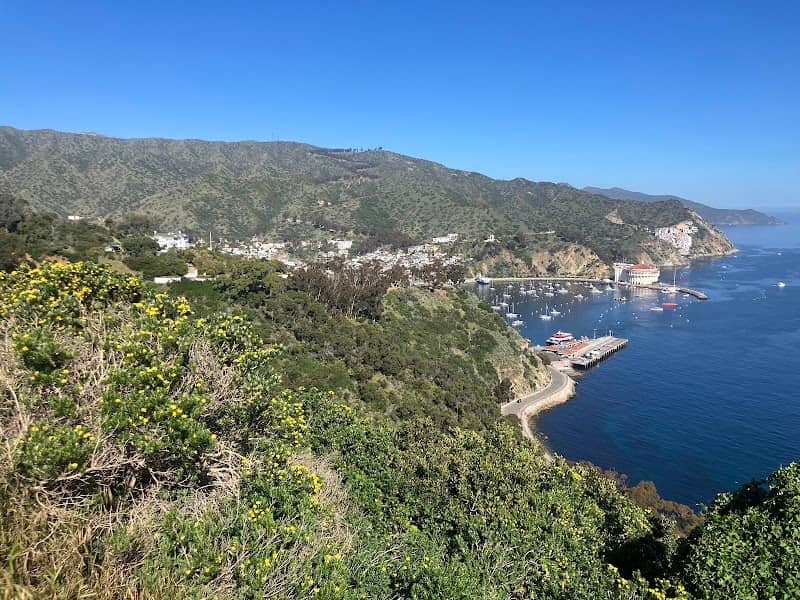 Avalon Bay View from clock Tower - Image 1