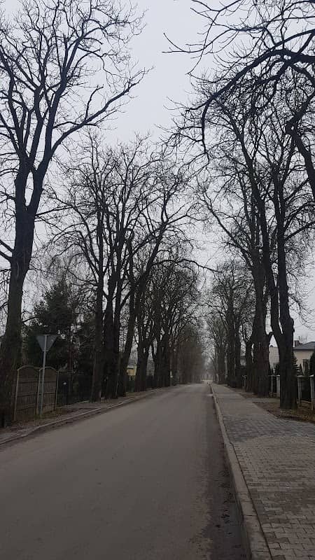 Aleja Kasztanowa - Image 2