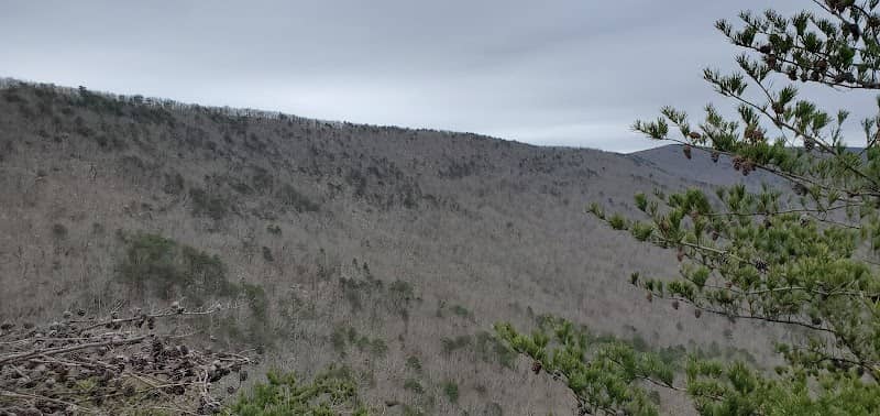 Cheaha Wilderness - Image 2