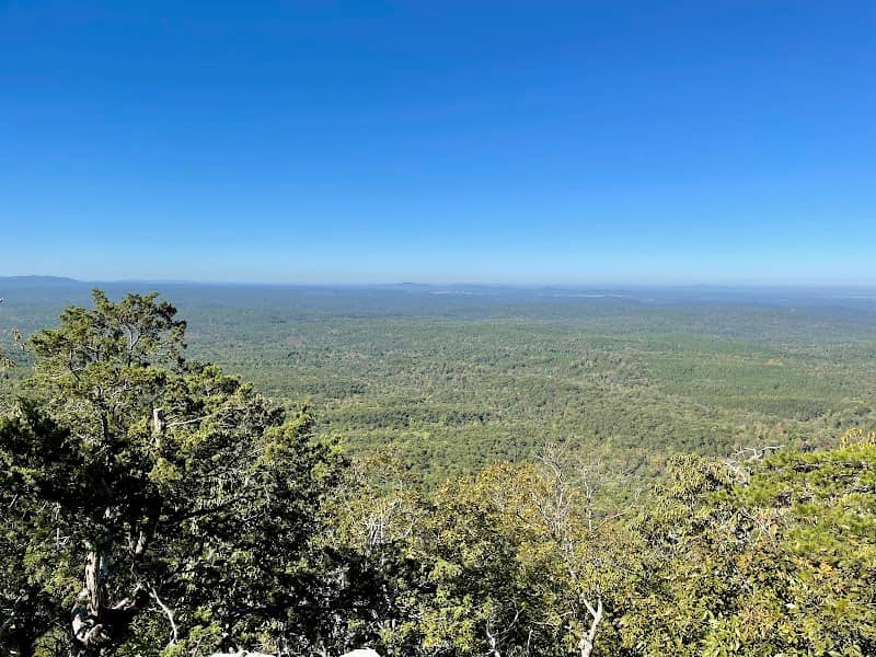 Cheaha Wilderness - Image 1