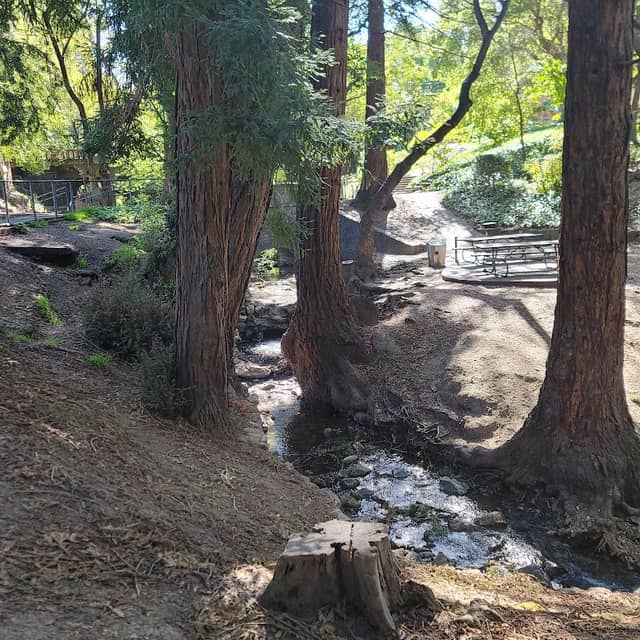 Live Oak Park - Image 1