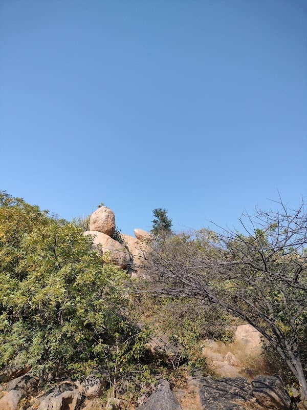 Stone drum ಕಲ್ಲಿನ ಡಕ್ಕೆ - Image 1