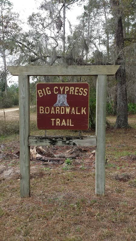 Goethe State Forest - Image 2