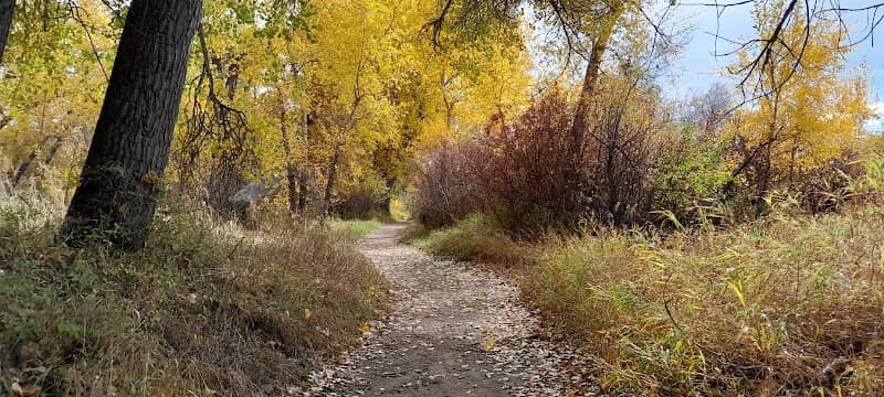 Norm Schoenthal Island access/parking lot - Image 1