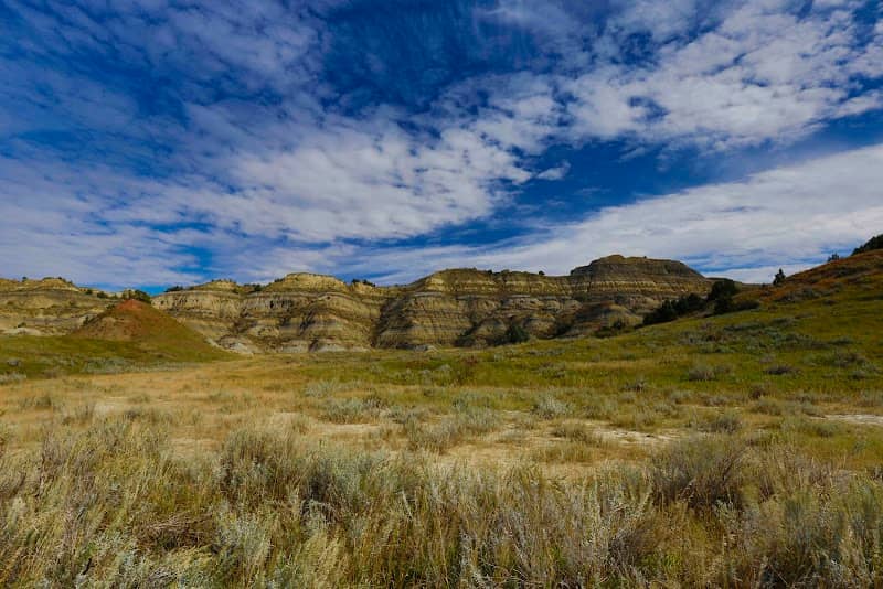 Buckhorn Trail - Image 1