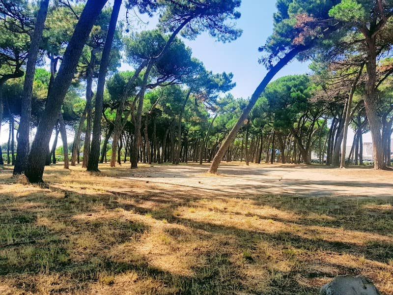 Pineta Loc. Paradiso - Image 1