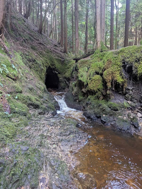 Nant-y-frith - Image 2