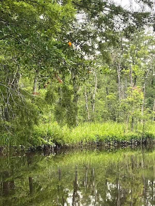Davis Creek Park - Image 1