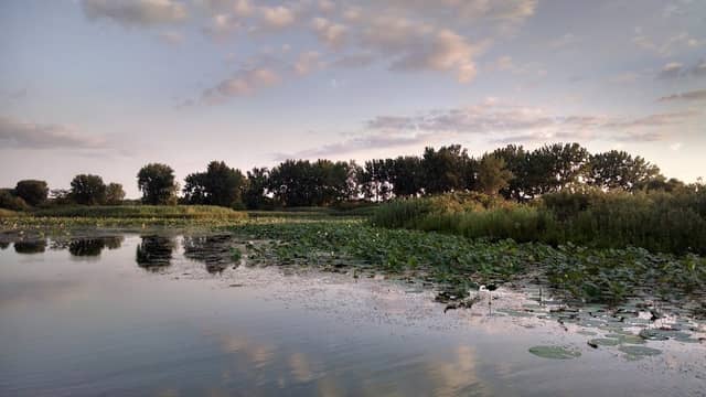 Banner Marsh State Fish and Wildlife Area - Image 2
