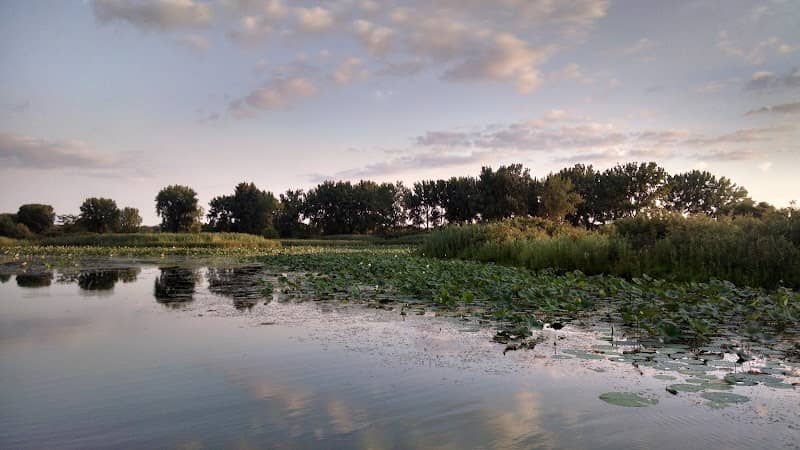 Banner Marsh State Fish and Wildlife Area - Image 2