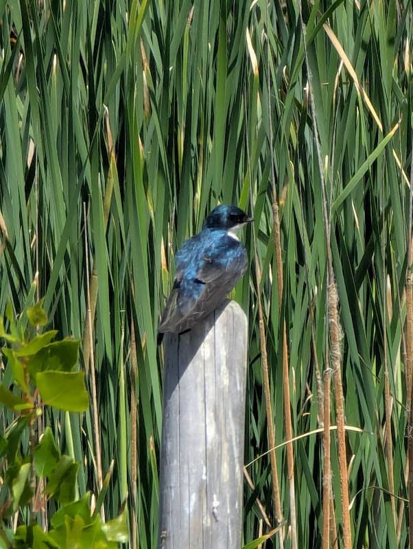 Woodland Regional Park Preserve - Image 3