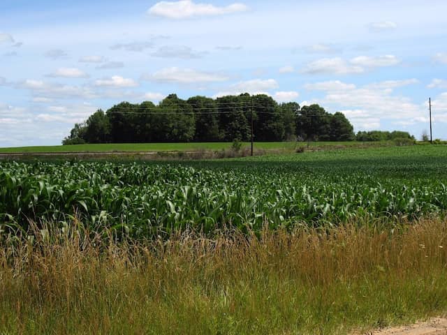 Sanilac County High Point - Image 1