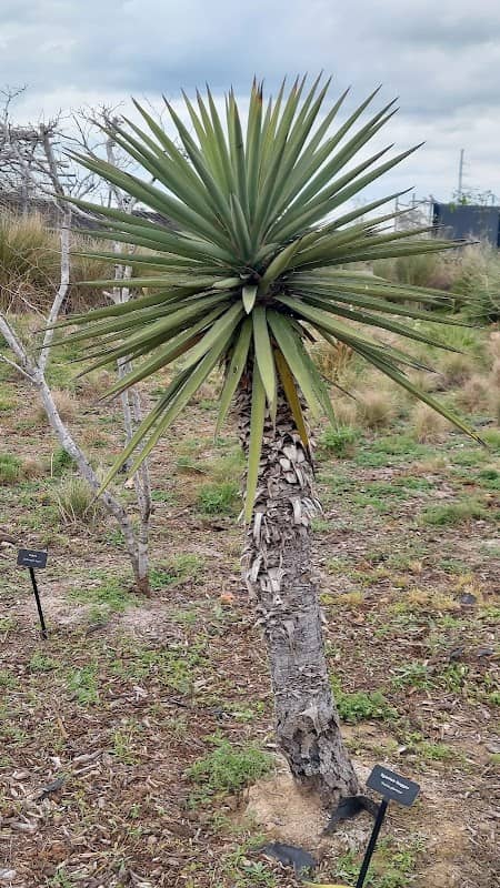 South Texas EcoTourism Center - Image 1