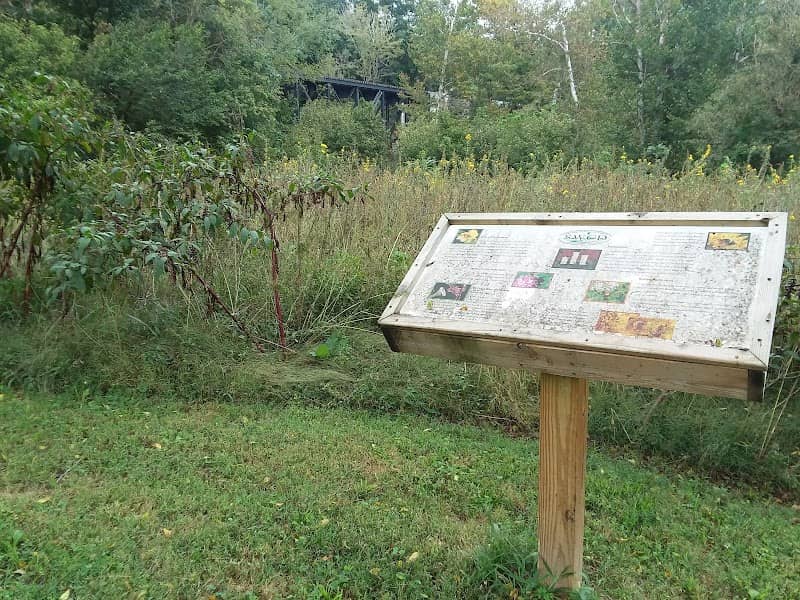 Nature Garden - Image 1