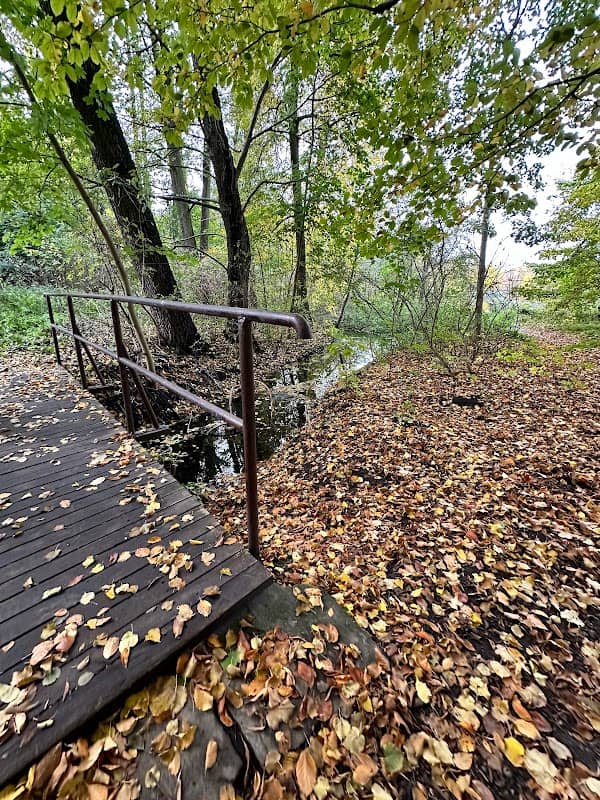 Leśna Kładka - Zespół pałacowo-parkowy w Falentach - Image 1