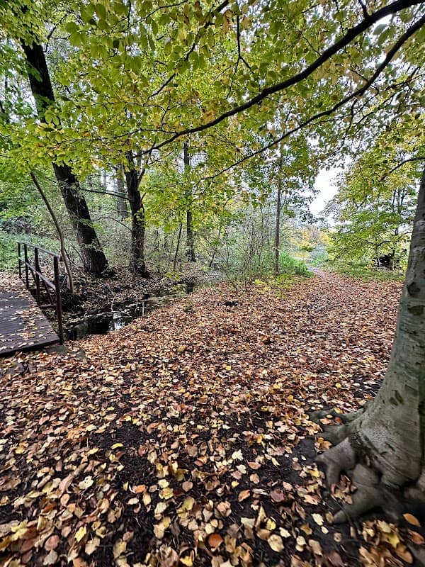 Leśna Kładka - Zespół pałacowo-parkowy w Falentach - Image 2