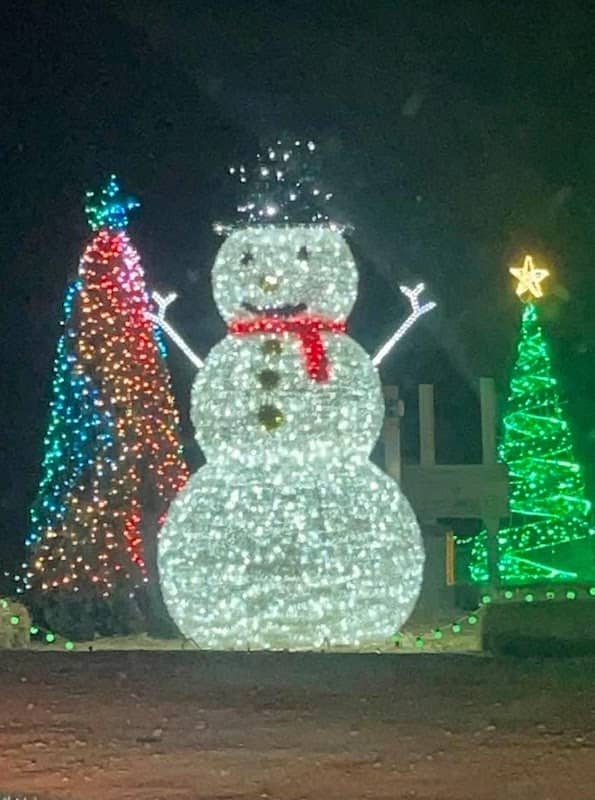 Isha Christmas Light Garden - Image 2