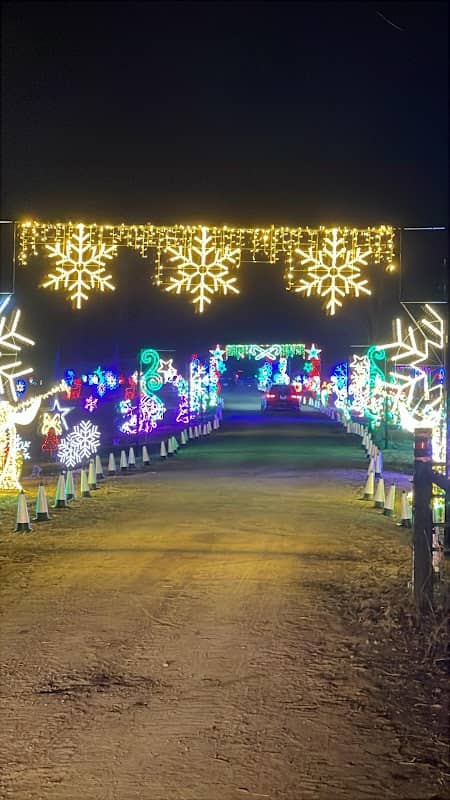 Isha Christmas Light Garden - Image 1