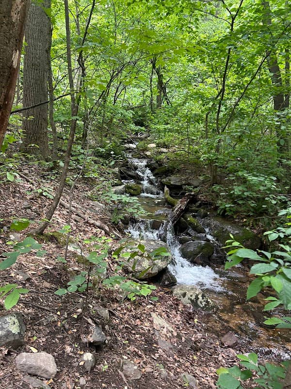 Raven Rocks Trailhead - Image 2