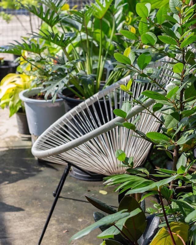Permpoongarden - Image 1