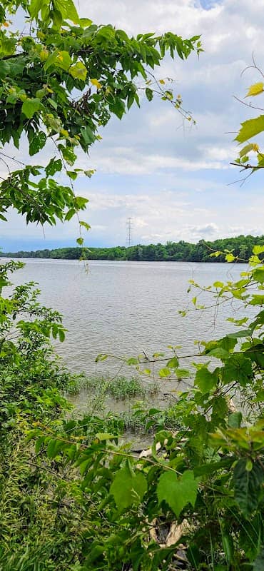Riverside Dr Scioto Fishing Area - Image 1