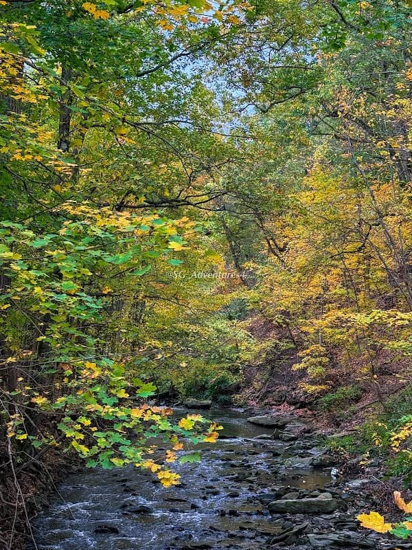 Rear Quarry Reservation Picnic Area - Image 1