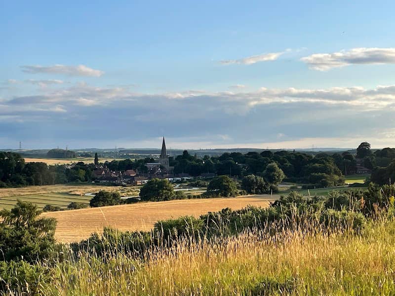 Thoresby Vale Country Park - Image 2