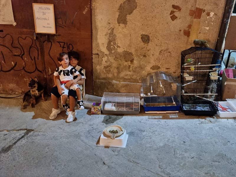 Mostra di Animali di Francesco - Image 1