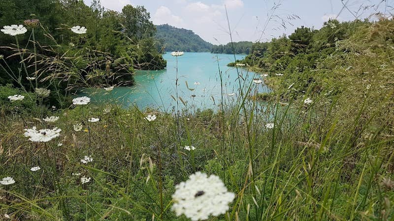 Cukurova Süleyman Demirel Arboretum - Image 1