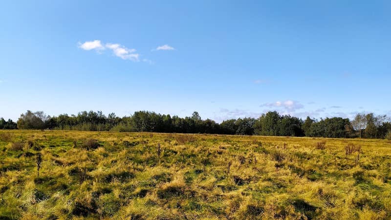 The Bonc, Golborne Park - Image 1