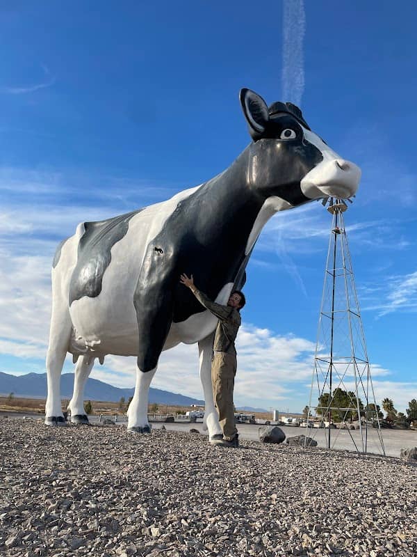 Big Bovine of The Desert - Image 1