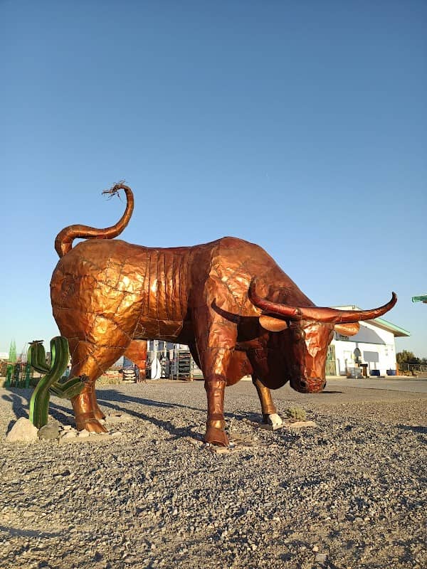 Big Bovine of The Desert - Image 2