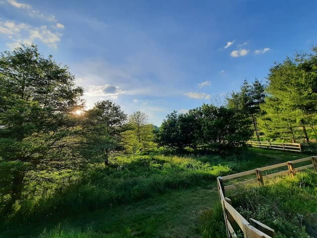 Todd Island Park - Image 2
