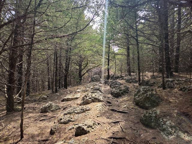 Fancy Creek Trail - Image 1