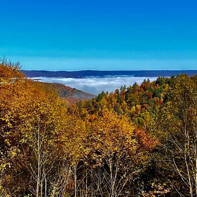Scenic Vista Parking - Image 1