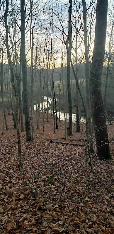Liberty Wildlife Area - Image 1