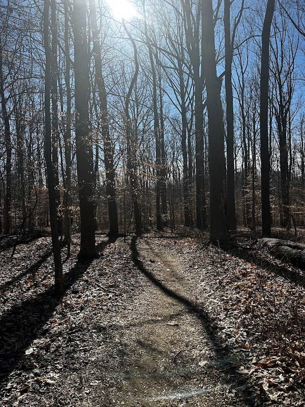 Ridge Trail - Image 1