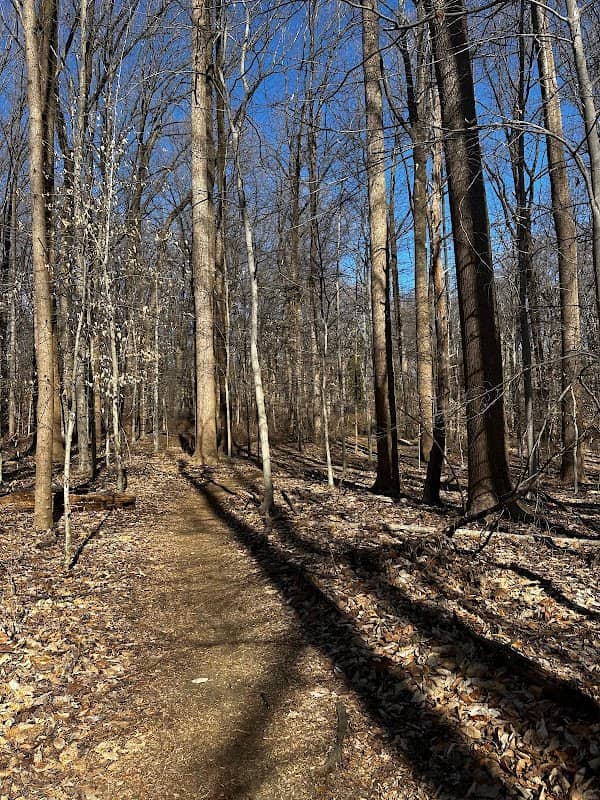Ridge Trail - Image 2