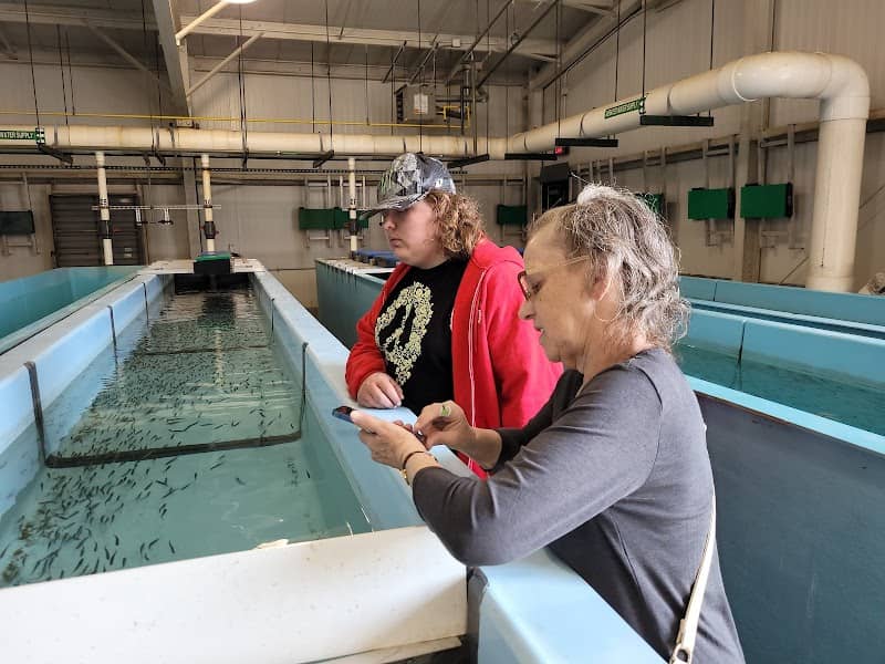 Castalia State Fish Hatchery - Image 2
