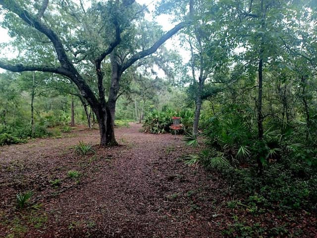 River Woods Park - Image 2