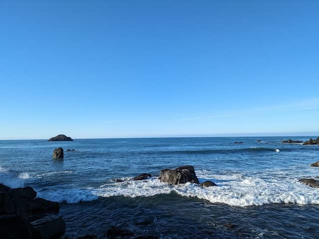 Sea lion resting area - Image 3