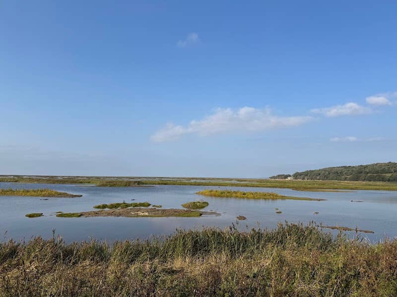 RSPB Morecambe Bay - Image 1