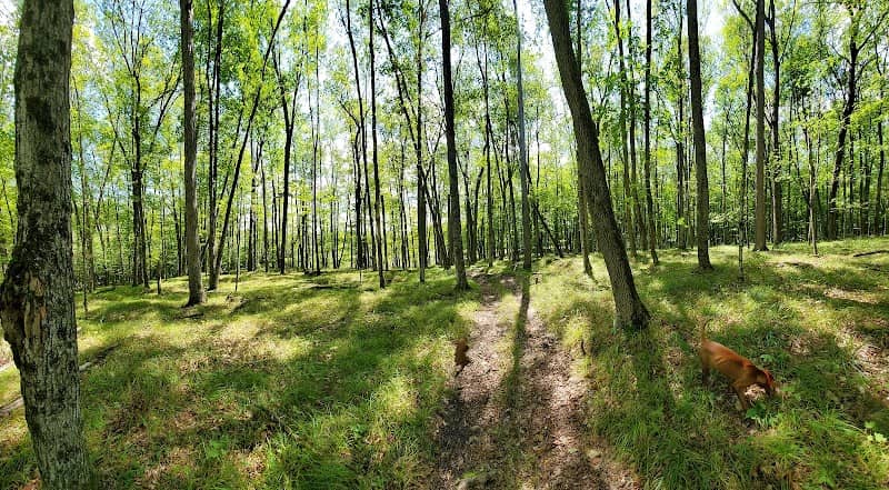 Mathison Conservation Area - Image 1