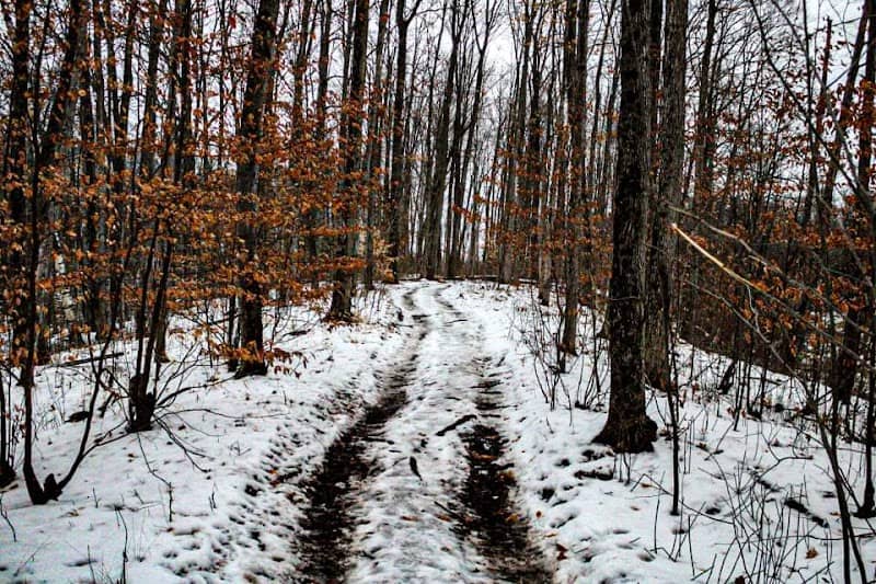 Mathison Conservation Area - Image 2