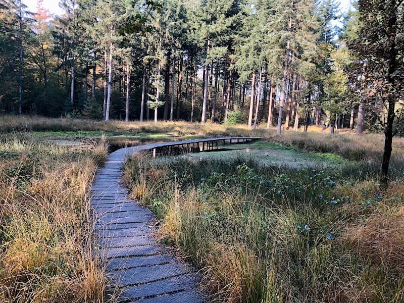 Hemrikkerscharren - Image 1