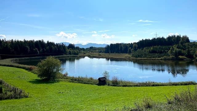 Streitberger Weiher - Image 1