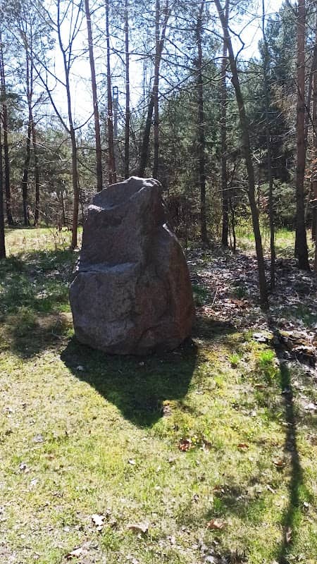 Pomnik przyrody nieożywionej - Kamień Gruby Michał - Image 1