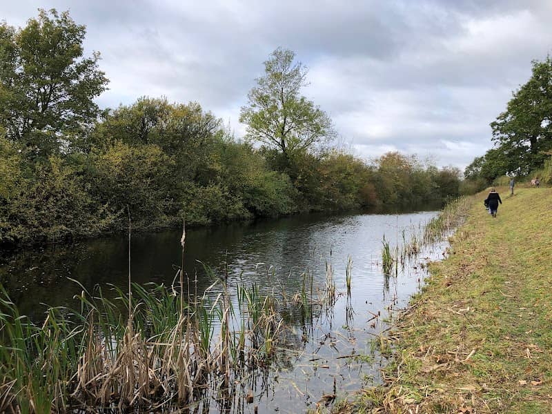 Snakeholme Pit Nature Reserve - Image 2