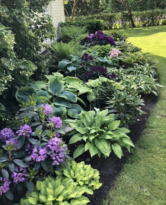 D&V Gardens - Image 5