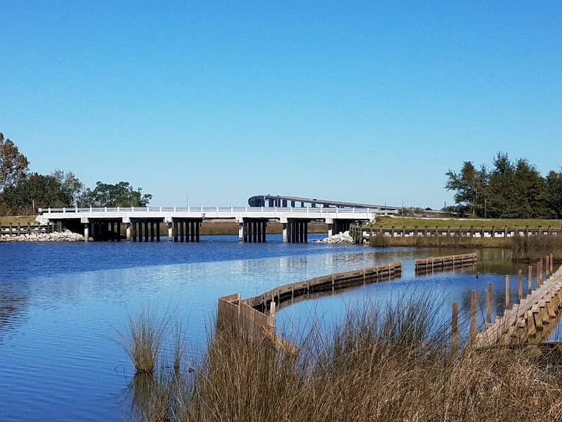 Pascagoula River Audubon Center - Image 2
